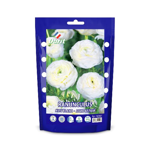 Ранункулюс Авив Белый/ Ranunculus Aviv Blanc 7/8, Darit 10 шт/уп