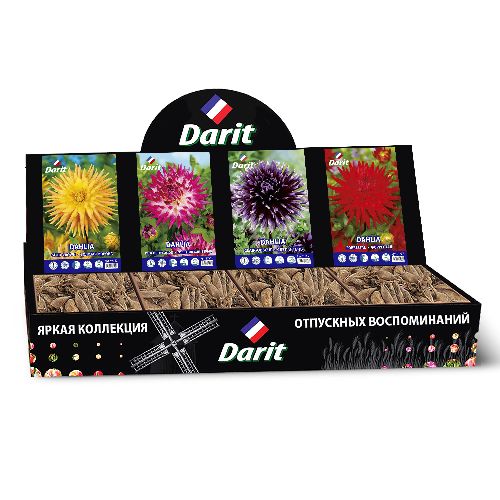 Шоубокс 201 ГЕОРГИНА Darit, 4 вида по 7 шт