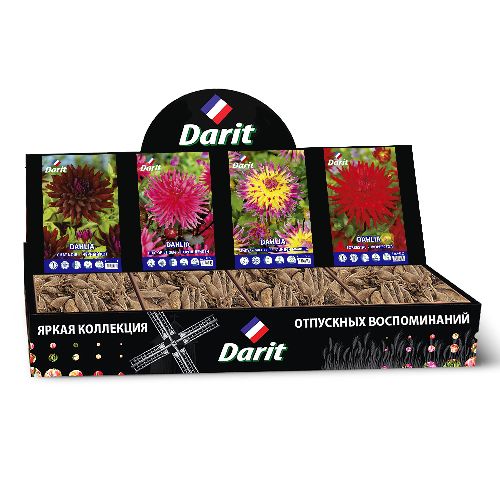 Шоубокс 204 ГЕОРГИНА Darit, 4 вида по 7 шт