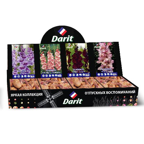 Шоубокс 211 ГЛАДИОЛУСЫ Darit, 4 вида по 35 шт