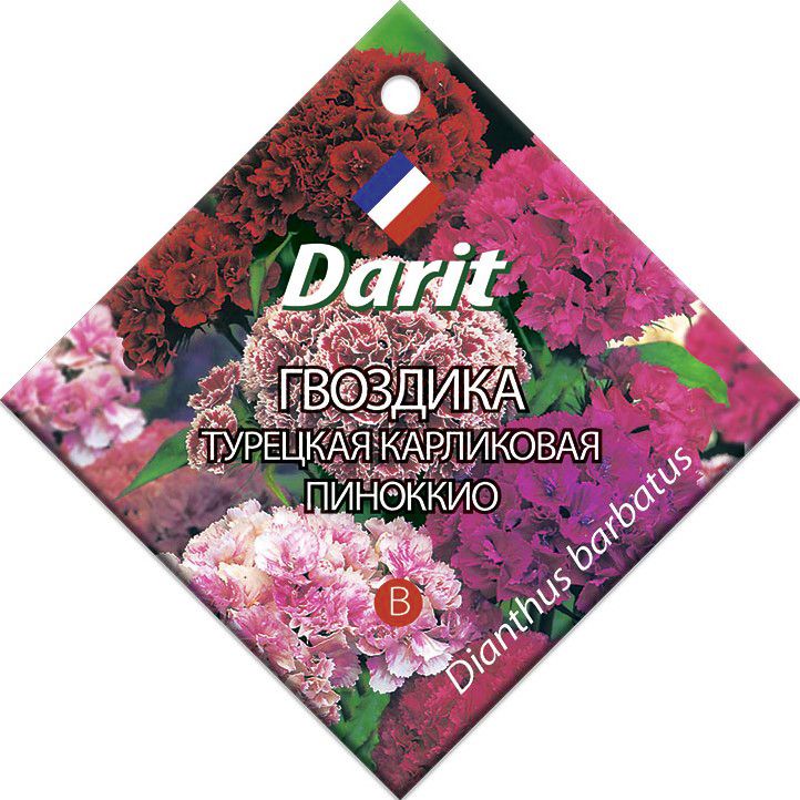 Гвоздика турецкая карликовая Пиноккио, семена Дарит 0,3г (350)