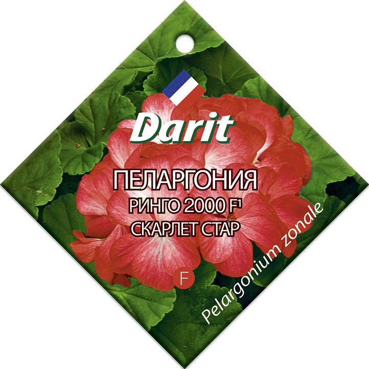 Пеларгония Ринго 2000 Скарлет Стар F1, семена Дарит 4шт (500)