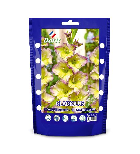 Лилия Восточная луна Lilium Easter Moon 12/14, Darit Дой-пак 2шт