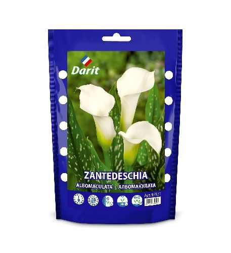 Калла (Зантедеския) Албомакулата Zantedeschia Albomaculata 16/18, Darit Дой-пак 2шт