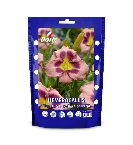 Лилейник Каёмка впереди Hemerocallis Edge Ahead, Darit Дой-пак , I 1шт