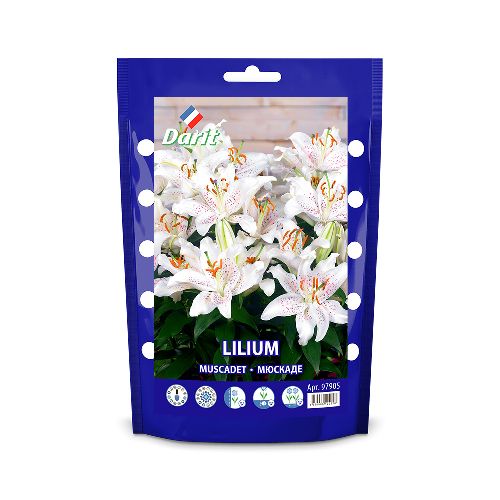 Лилия Мюскаде Lilium Muscadet 12/14, Darit Дой-пак  2шт