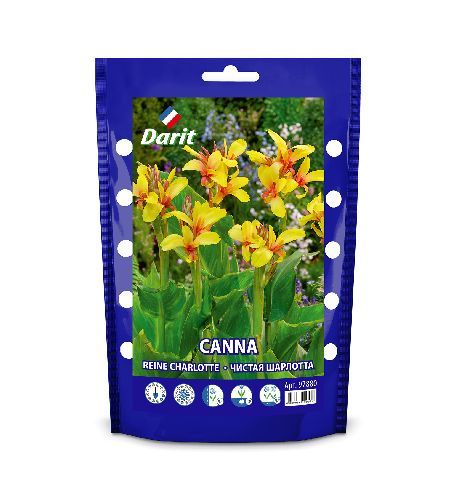 Канна Чистая Шарлотта Canna Reine Charlotte, Darit Дой-пак, I 1шт