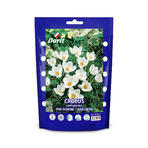 Крокус ботанический Ард Шенк/ Crocus botanical chrysanthus Ard Schenk 5/7, Darit 10 шт/уп
