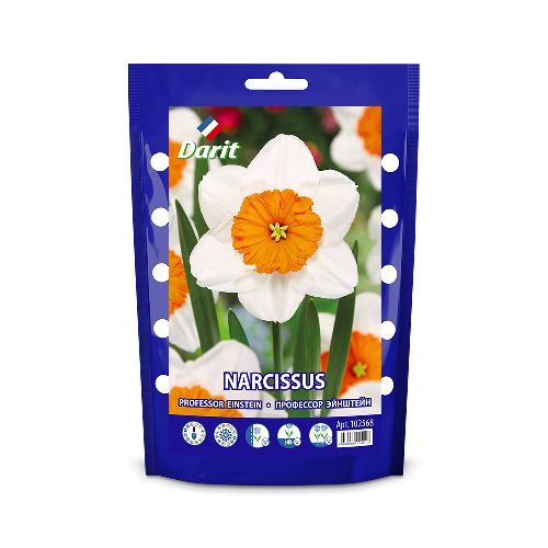Нарцисс крупнокорончатый Профессор Эйнштейн/ Narcissus Large crown Professor Einstein 12-14, Darit 3 шт/уп