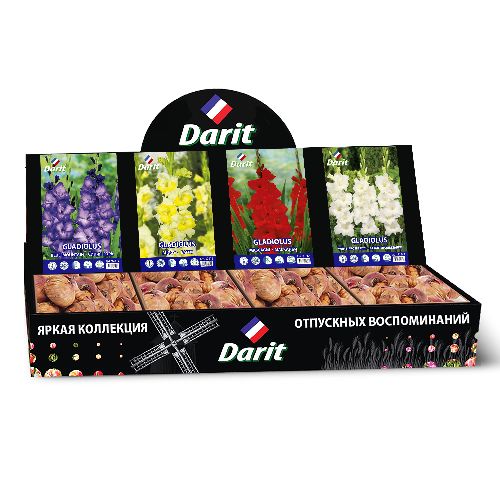Шоубокс 254 ГЛАДИОЛУСЫ Darit, 4 вида по 35 шт
