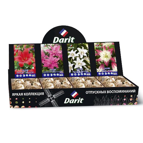 Шоубокс 186 ЛИЛИИ Darit, 4 вида по 20 шт 