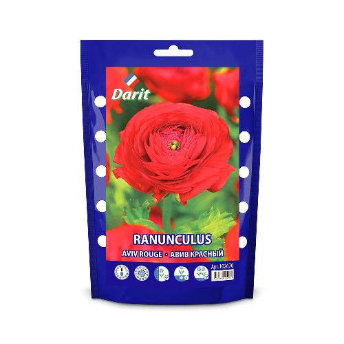 Ранункулюс Авив Красный/ Ranunculus Aviv Rouge 7/8, Darit 10 шт/уп