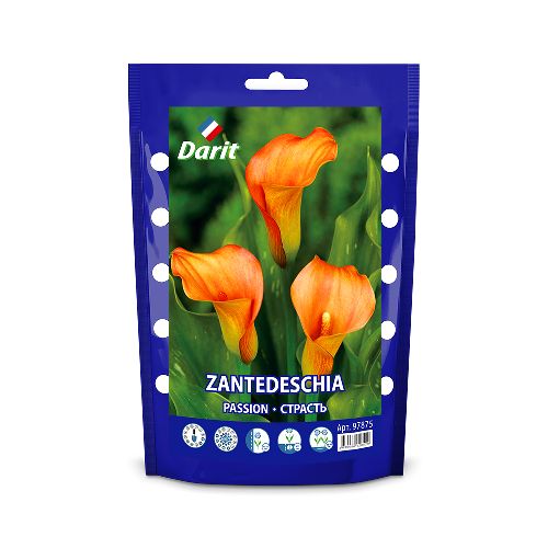 Калла (Зантедеския) Пэшн Zantedeschia Passion 16/+, Darit дой-пак 3шт