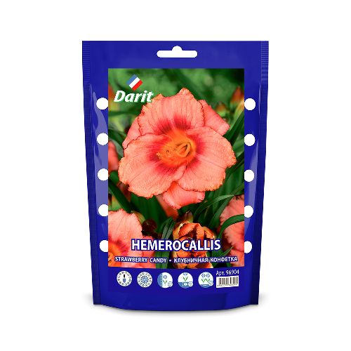 Лилейник Клубничная конфетка Hemerocallis Strawberry Candy, Darit Дой-пак , I 1шт