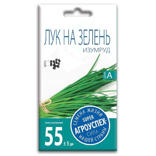 Лук на зелень Изумруд, семена Агроуспех 1г (200)