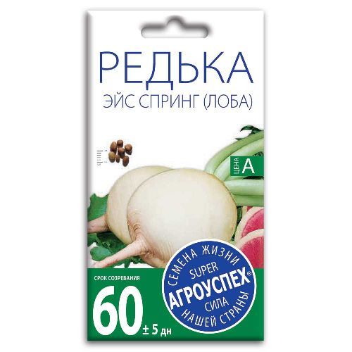 Редька китайская (лоба) Эйс Спринг, семена Агроуспех 1г (200)