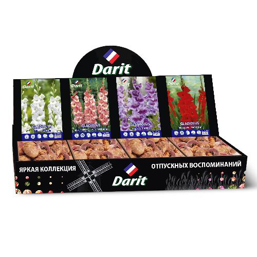 Шоубокс 251 ГЛАДИОЛУСЫ Darit, 4 вида по 35 шт