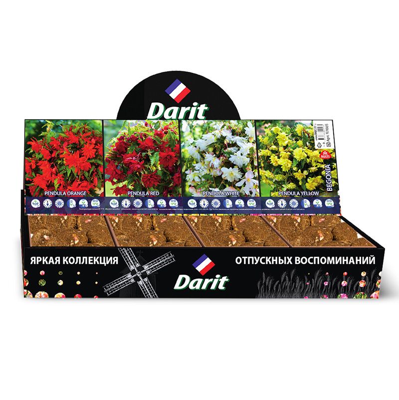 Бегонии ампельные Ampel begonia,ЦВЕТОЧНЫЙ ДОЖДЬ,Darit, Шоубокс 44, 4 вида по 20 шт.