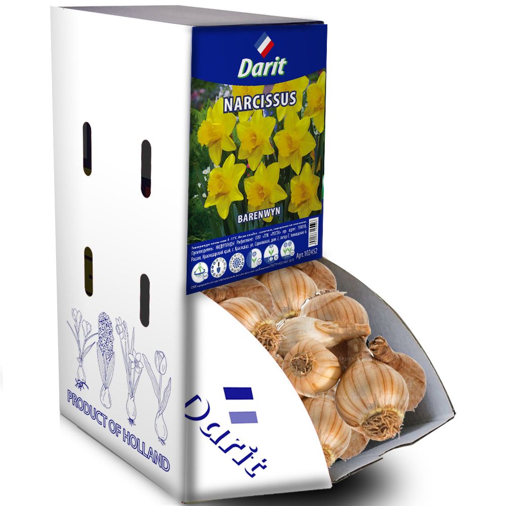 Нарцисс крупнокорончатый Баренвин Narcissus Barenwyn 10/12 Darit Рекбокс 50 шт