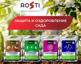 Защита и оздоровление сада