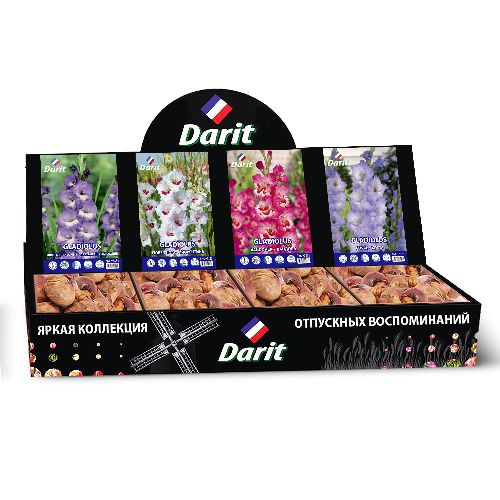 Шоубокс 212 ГЛАДИОЛУСЫ Darit, 4 вида по 35 шт
