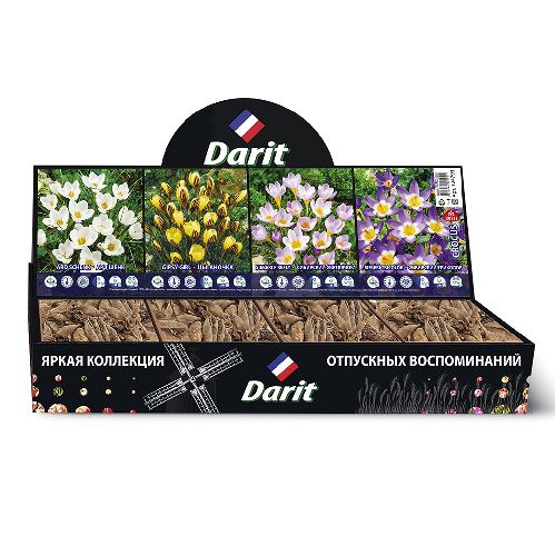 Шоубокс 182 КРОКУС Жанна Д'Арк/Рубиновый гигант 2 вида по 100шт, ГИАЦИНТ Розовая жемчужина/Вудсток 2 вида 35шт по Darit