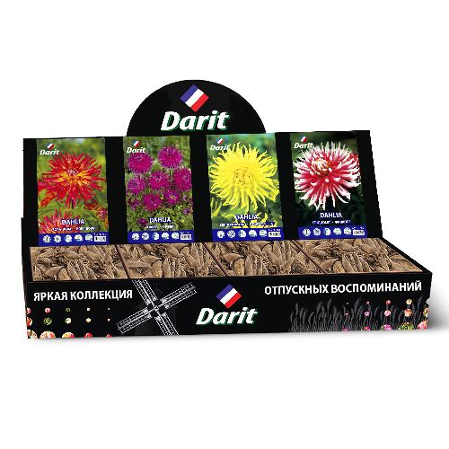 Шоубокс 246 ГЕОРГИНА Darit, 4 вида по 7 шт