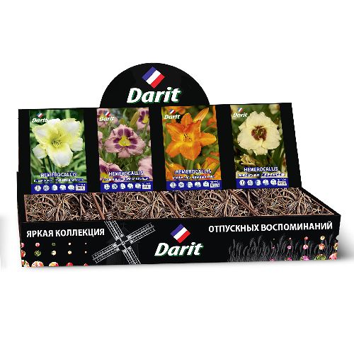 Шоубокс 198 ЛИЛЕЙНИК, Darit 4 вида по 7 шт
