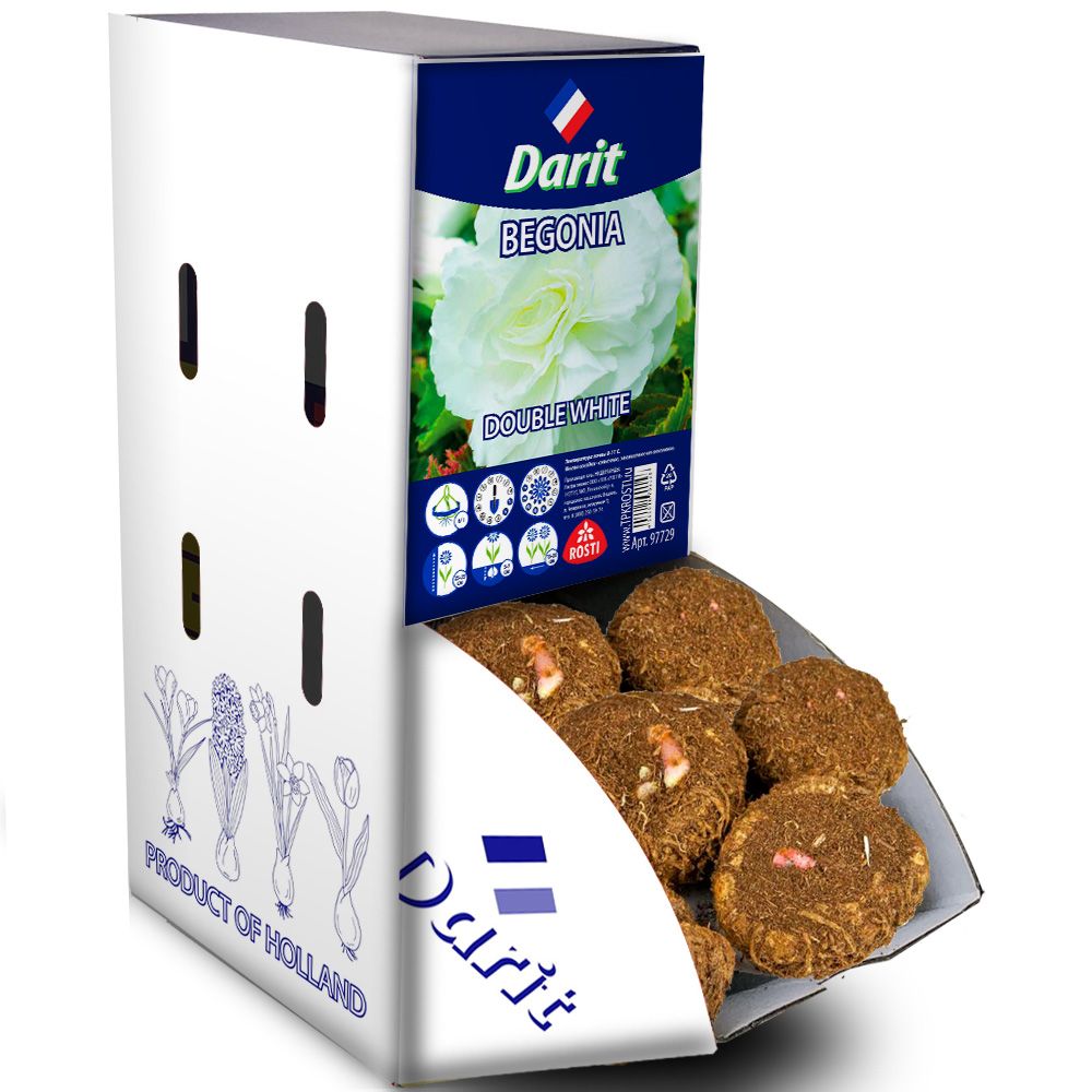 Бегония Махровая белая Begonia Double White 6/+, Darit рекбокс 35шт