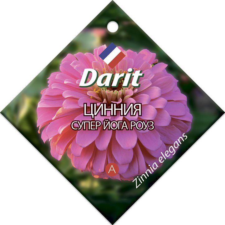 Цинния Супер Йога роуз, семена Дарит 0,5г (250)