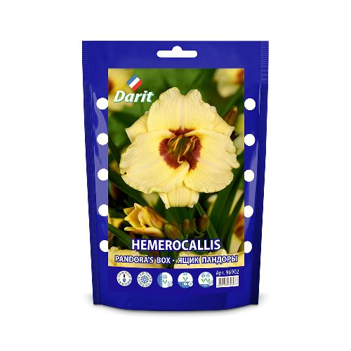 Лилейник Ящик пандоры Hemerocallis Pandora's Box, Darit Дой-пак , I 1шт