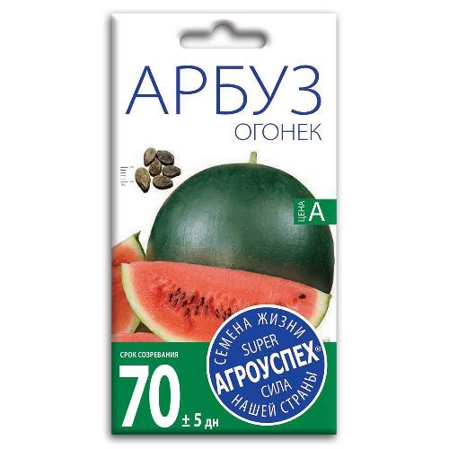 Арбуз Огонек, семена Агроуспех 1г (250)
