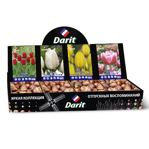 Шоубокс 236 ТЮЛЬПАНЫ Darit, 4 вида по 50 шт