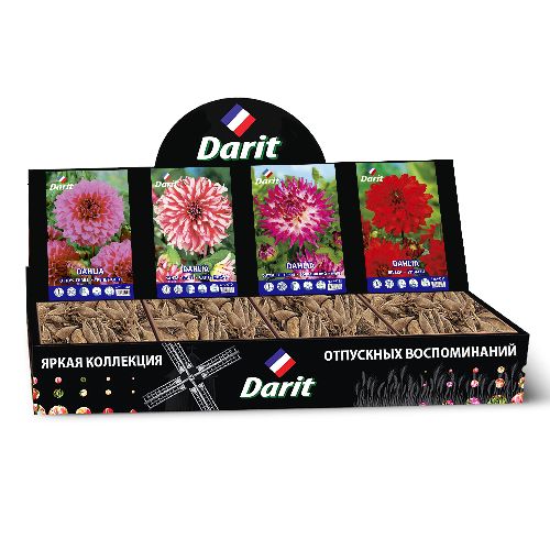 Шоубокс 206 ГЕОРГИНА Darit, 4 вида по 7 шт