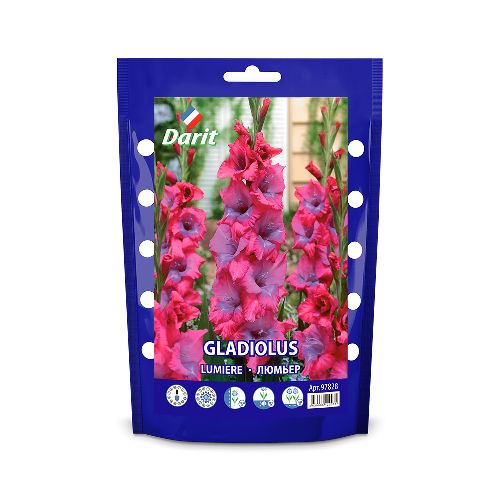 Гладиолус Люмьер Gladiolus Lumiere 12/+, Darit Дой-пак 7шт