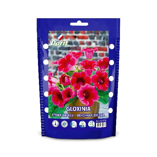 Глоксиния Огненная звезда Gloxinia Etoile de Feu 5/+, Darit Дой-пак, 2шт