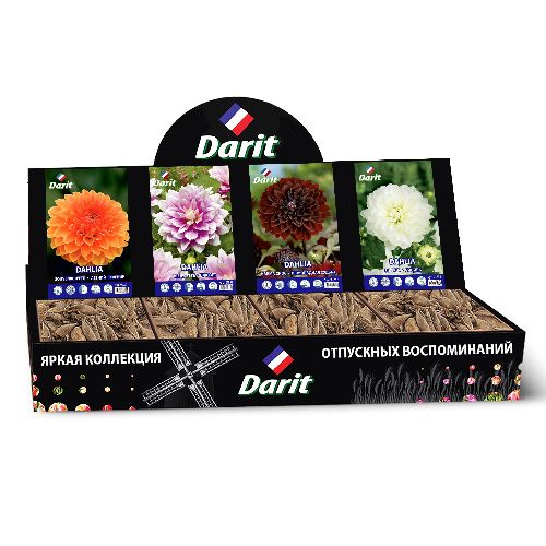 Шоубокс 200 ГЕОРГИНА Darit, 4 вида по 7 шт