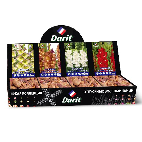 Шоубокс 250 ГЛАДИОЛУСЫ Darit, 4 вида по 35 шт