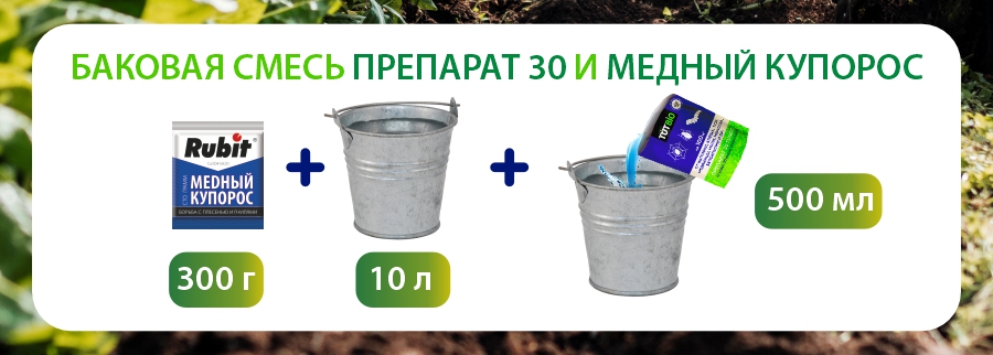 фото 2 для второй статьи.jpg