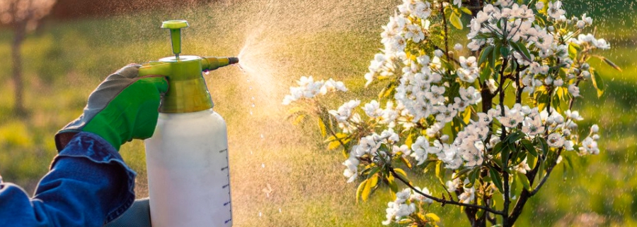 фото 5 для второй статьи.jpg