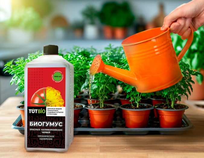 5 Полив и подкормка(вариант 2).jpg 5 Полив и подкормка(вариант 2).jpg