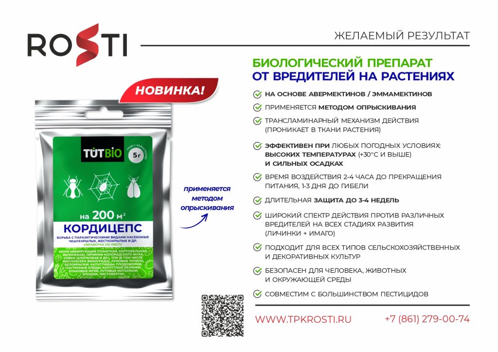 презентация Кордицепс лист.jpg