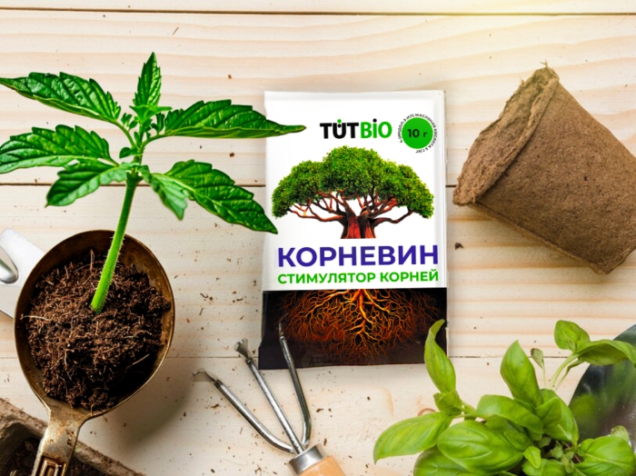 7 Пикировка – без нервов.jpg 7 Пикировка – без нервов.jpg