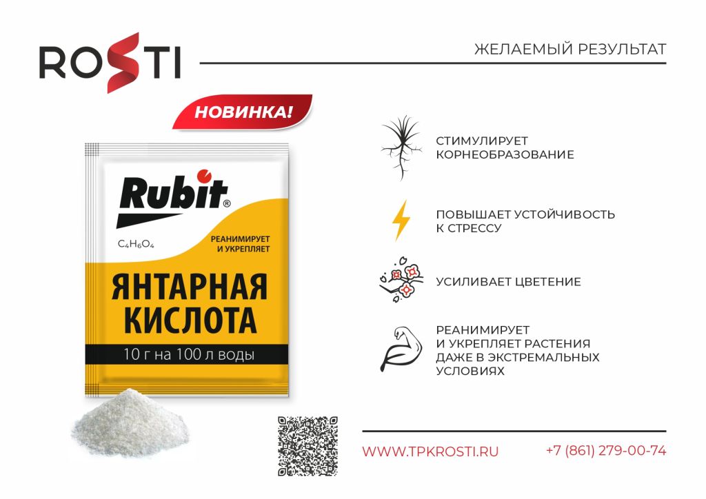 презентации RUBIT Янтарная кислота.jpg