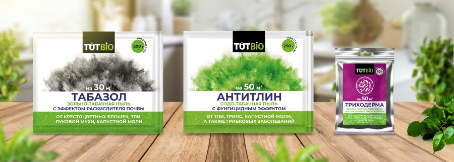 6 Защищаем от незваных гостей.jpg 6 Защищаем от незваных гостей.jpg