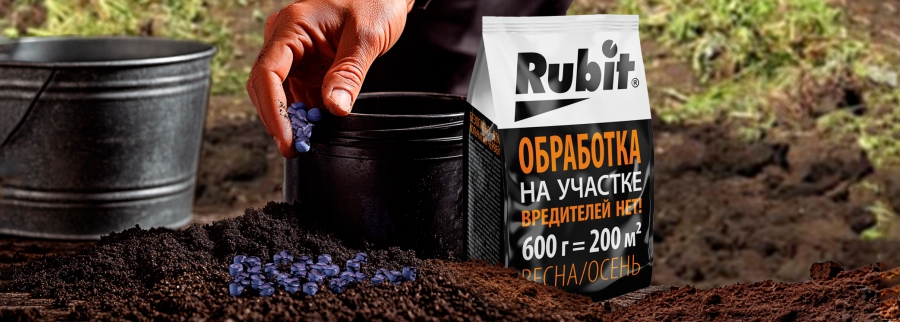 фото 1 для второй статьи.jpg