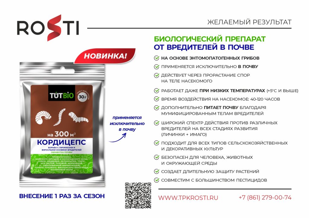 презентация Кордицепс почва.jpg