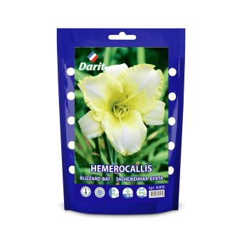 Лилейник Заснеженная бухта Hemerocallis Blizzard Bay, Darit Дой-пак , I 1шт