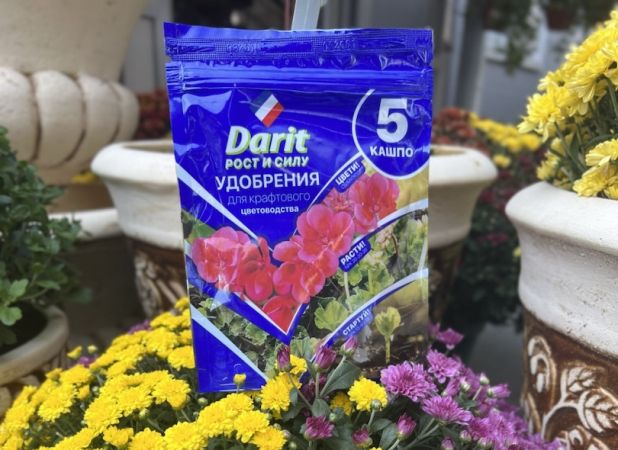 ​​Стартуй, расти, цвети!