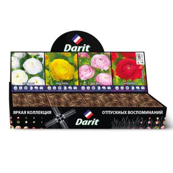 Лютик (ранункулюс) азиатский Ranunculus asiaticus, ЦВЕТНАЯ МЕЧТА,Darit, Шоубокс 45, 4 вида по 200 шт.